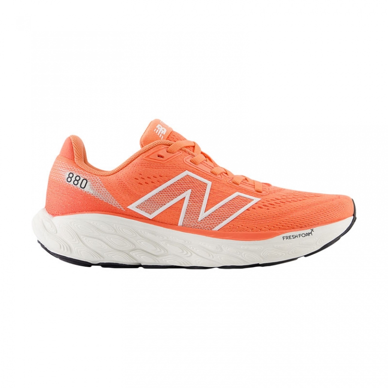 New Balance 880 Donna L14 koalasport Only running